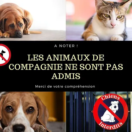 Apartament Le Balcon Cerdan